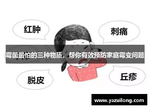 霉菌最怕的三种物质，帮你有效预防家庭霉变问题