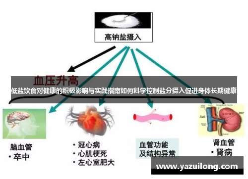 低盐饮食对健康的积极影响与实践指南如何科学控制盐分摄入促进身体长期健康
