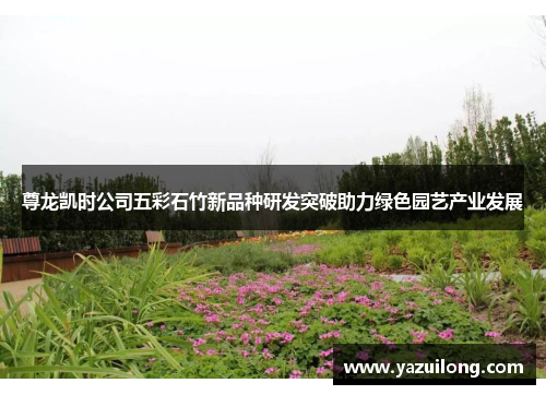 尊龙凯时公司五彩石竹新品种研发突破助力绿色园艺产业发展