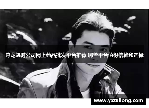 尊龙凯时公司网上药品批发平台推荐 哪些平台值得信赖和选择